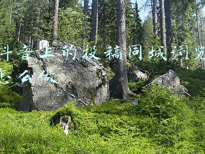 抖音显示投稿同城浏览(当抖音将目标对准B站知识区，于是有了“学习频道”)