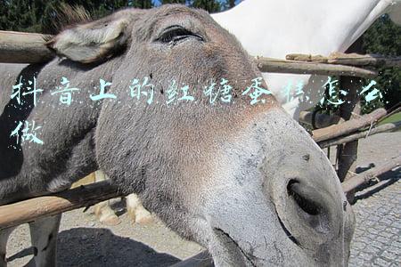 抖音上的红糖蛋糕怎么做