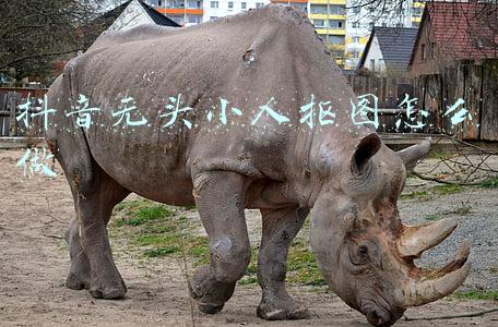 儿童无头小人抠图素材(一家三口四口人抠图素材)