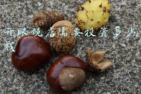 开眼镜店的成本-开个眼镜店需要多少钱