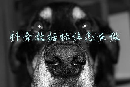抖音数据标注(如何搭建数据指标体系：以抖音直播为例)