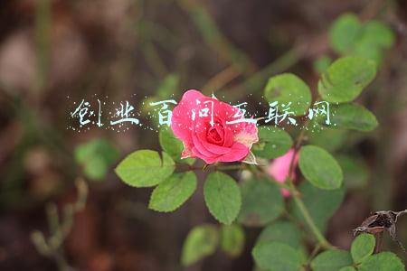 创业百问互联网