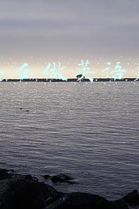 抖音怎么做英语美食文化