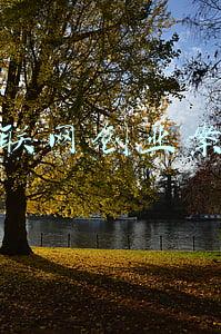 互联网创业案例