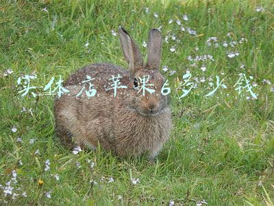 苹果6现在多少钱一部：苹果6现在多少钱
