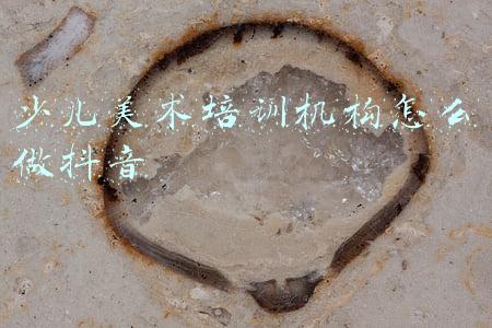 线上儿童美术培训(线上美术教学平台那家比较好？该如何选择？)