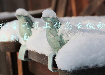 抖音网页上传怎么做动态封面