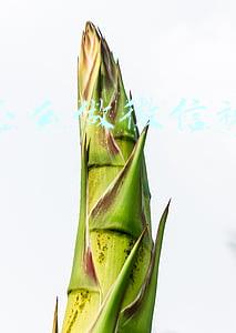 微信聊天怎么做成视频发抖音(腾讯、抖音商谈对等开放：大量影视二创短视频可以外发至抖音)