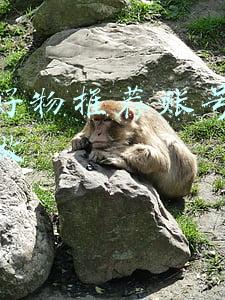 抖音好物推荐个性签名(抖音电商“遇见新国潮”，这些非遗好物值得拥有)