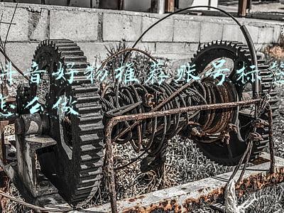 得物的标签怎么拆(顶风炒鞋，“得物”还有多少套路？)