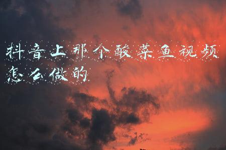 抖音里面我是一条酸菜鱼视频怎么制作(我是一条酸菜鱼)