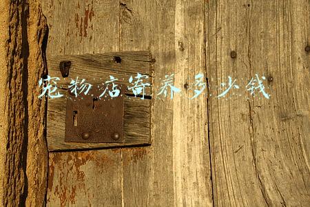 宠物店可以寄养宠物吗；宠物可以放在宠物店寄养吗