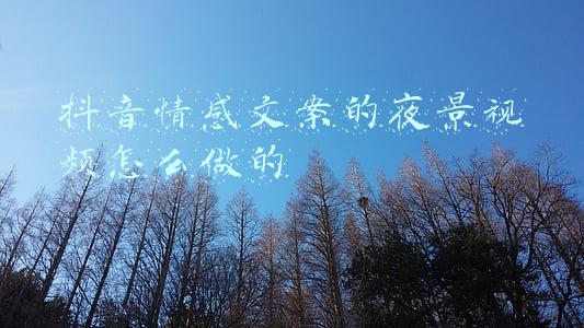 抖音情感文案的夜景视频怎么做的