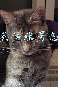 抖音英语账号怎么做