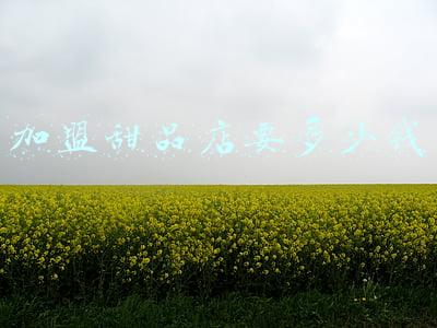 甜品店加盟钱，甜品店加盟费多少钱