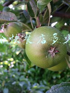 开个快餐店要准备什么-开快餐店需要准备什么