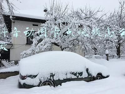 视频制作动图(怎样把视频制作成GIF动图？)