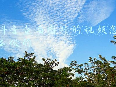 怎样册抖音里的短视频(抖音账单记录怎么删除？删除抖音账单记录的方法)