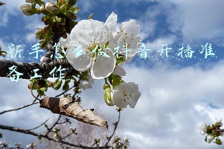 新手怎么做抖音(新手怎么做抖音号？免费公开四个秘诀技巧。)