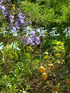 想在抖音卖货无货源电商怎么做