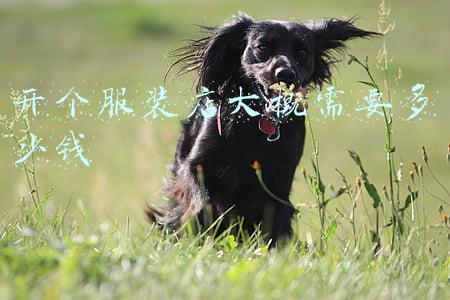 开个服装店大概需要多少钱
