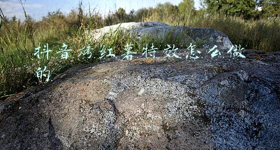 商用烤箱烤红薯(这是烤红薯（烤箱版）最正宗的做法，好吃到爆)