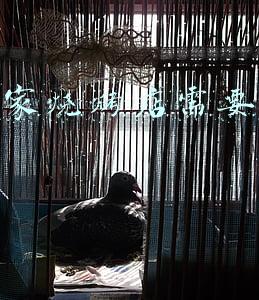 开个烧烤店投资多少钱 开一家烤肉店大概需要多少钱