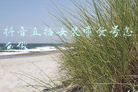 抖音直播带货流程图(抖音带货选品、直播带货选品都有哪些技巧？)