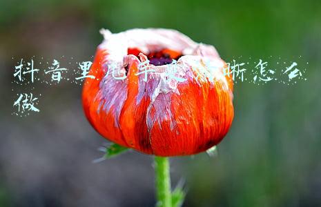 抖音甩手上货助理官网(怎么找拼多多上货助理，拼多多上货要注意什么)