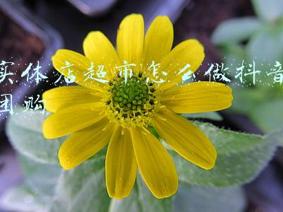 实体店超市怎么做抖音团购
