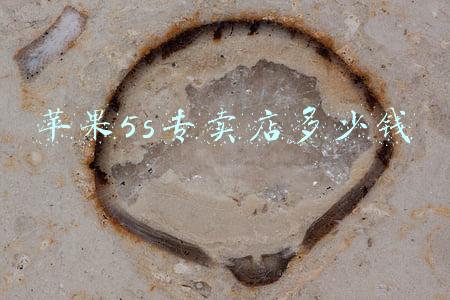 苹果5s怎样投屏,苹果5s怎样投屏到电视