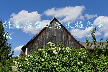 抖音后台运营(一文读懂：在抖音如何玩转“私域”？)