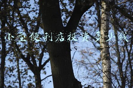 开一个小型便利店大概需要多少钱：开个小型便利店大概需要多少钱