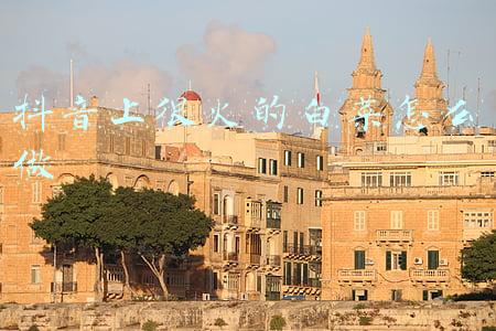 抖音上很火的白菜怎么做