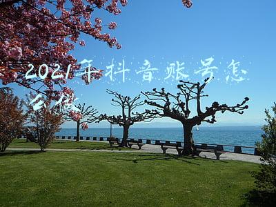 2021年抖音账号怎么做