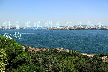 抖音里跟明星视频怎么做的