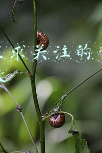 抖音里求关注的背景图怎么做