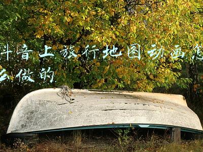 地图动画怎么做的(AE地图路径动画教程)