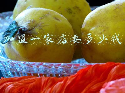 加盟一个连锁店需要多少钱《加盟一家店需要多少钱》