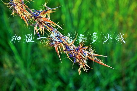 加盟干洗店要多少钱《加盟干洗店大概需要投资多少钱》