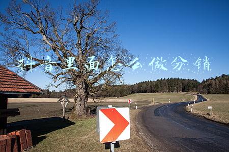 抖音里面怎么做分销