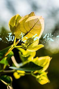 抖音怎么玩才能火起来(新手怎样在抖音快速火起来？只需要学会这3个技巧！（全是干货）)