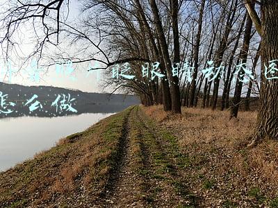 抖音照片眨眼睛动态图怎么做