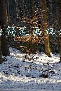 抖音的简笔画视频怎么做