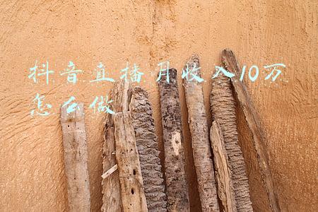 抖音直播月收入10万怎么做