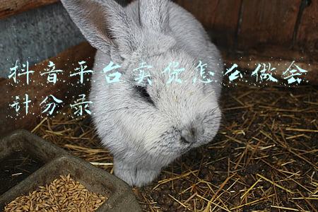 抖音平台卖货怎么做会计分录