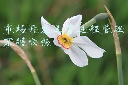 市场开发运营过程管理不够顺畅