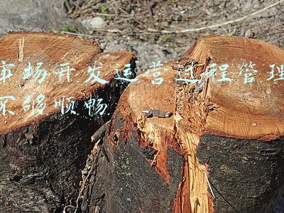 市场开发运营过程管理不够顺畅
