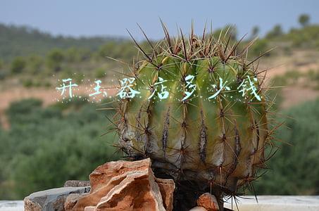 玉器去哪里卖 玉器在哪里卖掉