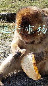 管理员进行市场运营管理培训